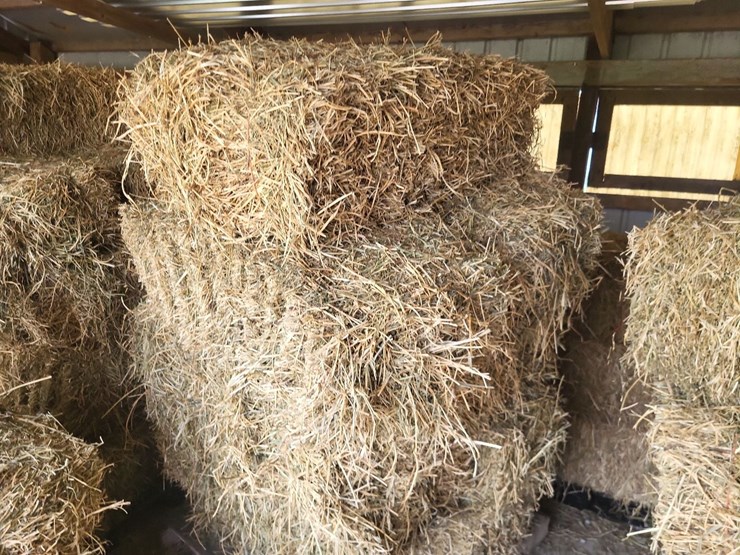(55)-bales-of-1st-cutting-2026-hay---no-rain-image-5