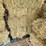 (55)-bales-of-1st-cutting-2026-hay---no-rain-image-16