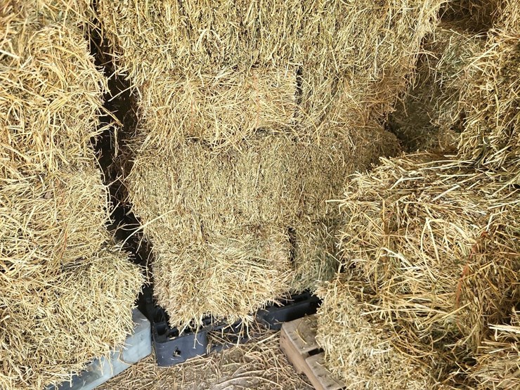(55)-bales-of-1st-cutting-2026-hay---no-rain-image-16