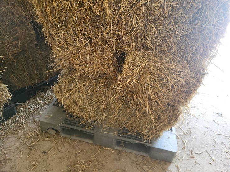 (55)-bales-of-1st-cutting-2026-hay---no-rain-image-20