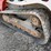 2017-takeuchi-tl12v2-image-17