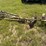 #20287-•-row-markers-image-3
