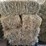(55)-bales-of-1st-cutting-2026-hay---no-rain-image-22