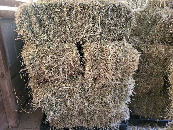 (55)-bales-of-1st-cutting-2026-hay---no-rain-image-22