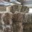 (55)-bales-of-1st-cutting-2026-hay---no-rain-image-10