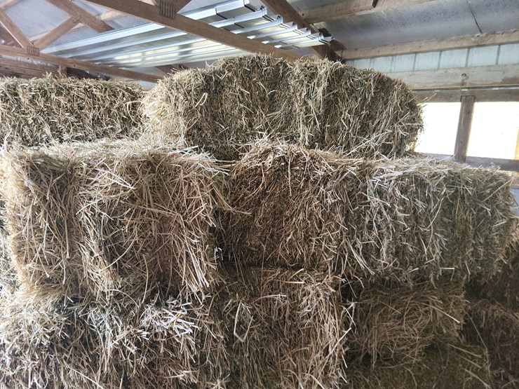 (55)-bales-of-1st-cutting-2026-hay---no-rain-image-10