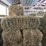 (55)-bales-of-1st-cutting-2026-hay---no-rain-image-21