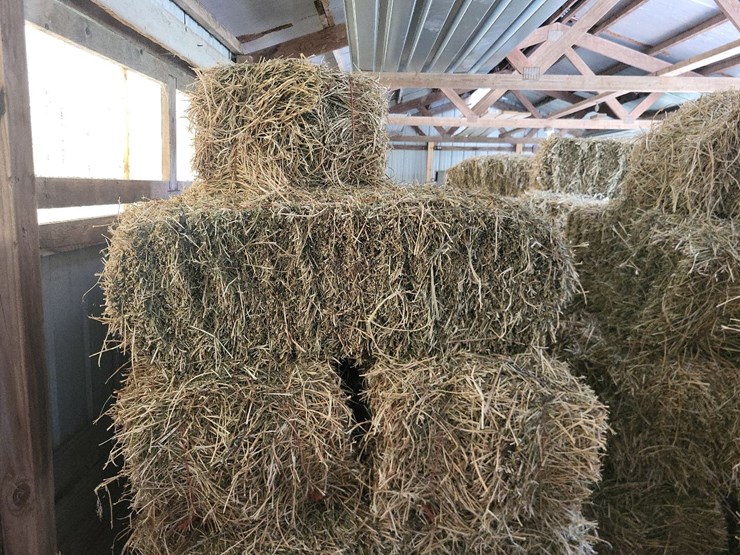 (55)-bales-of-1st-cutting-2026-hay---no-rain-image-21
