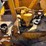 caterpillar-d2-image-20