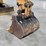 2018-caterpillar-303.5e2-cr-image-12