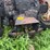 allis-chalmers-7080-tractor-image-7