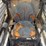 bobcat-864-image-7