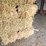 (55)-bales-of-1st-cutting-2026-hay---no-rain-image-9