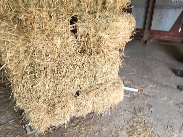 (55)-bales-of-1st-cutting-2026-hay---no-rain-image-9