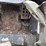 bobcat-t550-image-36