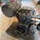 wards-5-h.p.-engine-image-6