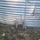 grain-bin---farthest-from-road-image-13