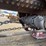 22hp-garr-scott-traction-engine-image-46