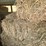 (55)-bales-of-1st-cutting-2026-hay---no-rain-image-7