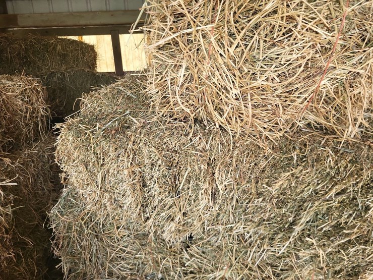 (55)-bales-of-1st-cutting-2026-hay---no-rain-image-7