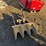 caterpillar-307-image-5