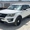 southeast-regional-government-&-fleet-auction---day-3-image-6