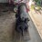 delco-light-company-engine-image-3