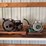 (2)-small-gas-engines-image-1