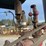 buffalo-springfield-steam-road-roller-image-32