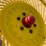 tonutti-rcs8-image-21