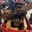 crosley-four-cylinder-engine-image-7
