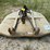 #20278-•-land-pride-6ft-bushog-image-1