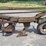 oliver-545-in-furrow--4-bottom-moldboard-plow-w/coulters-image-18