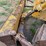 caterpillar-d5-image-7