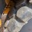 volvo-a25b-image-8