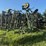 john-deere-737-image-2