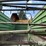 john-deere-716a-image-17