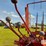 new-holland-1033-image-13