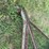 john-deere-b-image-9