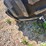 case-ih-2388-image-11