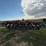 2022-case-ih-2022-image-6