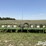 john-deere-7100-image-2
