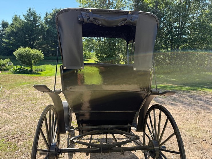 #2494-•-surrey-horse-wagon-image-19
