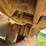 caterpillar-d5-image-10