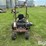 2007-grasshopper-727k-image-6