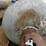 #6102-•-(2)-propane-tanks-image-5