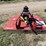 bush-hog-sq600-image-2