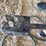 baldor-super-e-severe-duty-xex-electric-motor-image-9