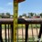 horse-hay-feeder-image-16
