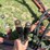 sunflower-30'-c-flex-tandem-disk-image-12